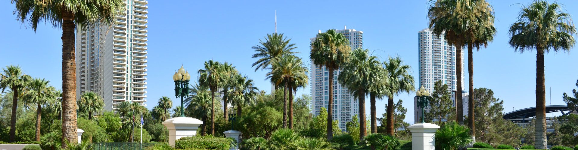 buildings and trees