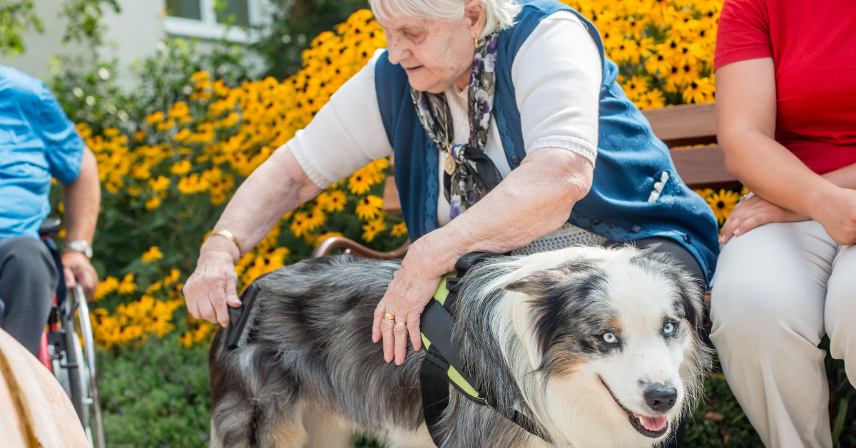 Ensuring Fair Housing for Assistance Animals: A Guide for Property Managers