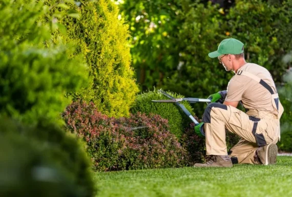 Landscape Maintenance and Rental Properties: Who is Responsible?