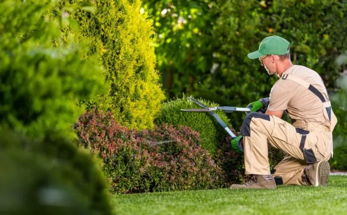 Landscape Maintenance and Rental Properties: Who is Responsible?