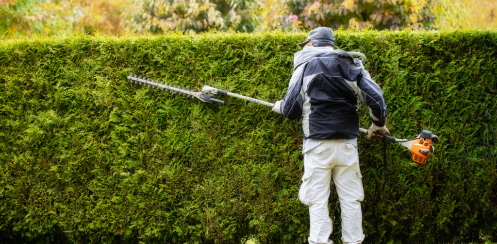 Landscape professionals for Tree and Shrub Management 